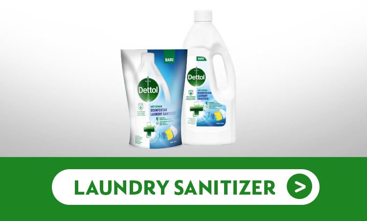 Promo Watsons Dettol Brand Landing Page Laundry Sanitizer